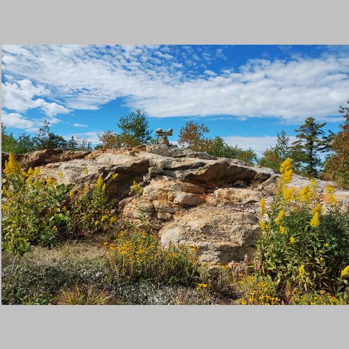 #ALT_TXT#